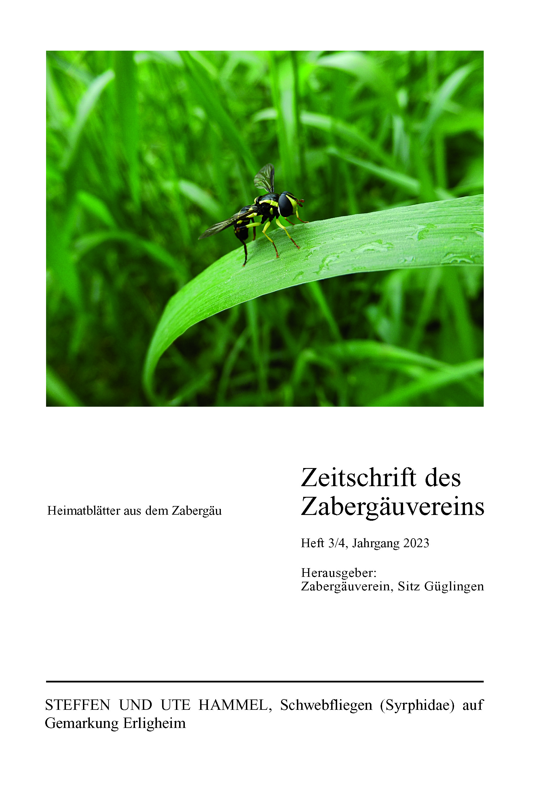                     Ansehen Nr. 3-4 (2023): Zeitschrift des Zabergäuvereins
                
